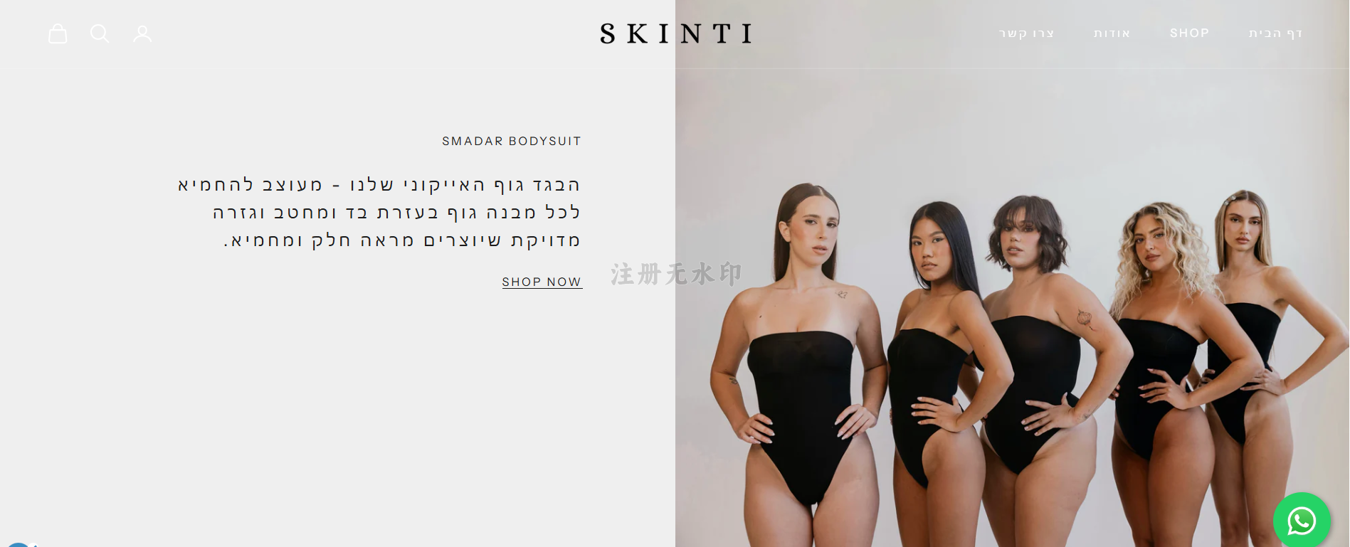 A screenshot of SKINTI